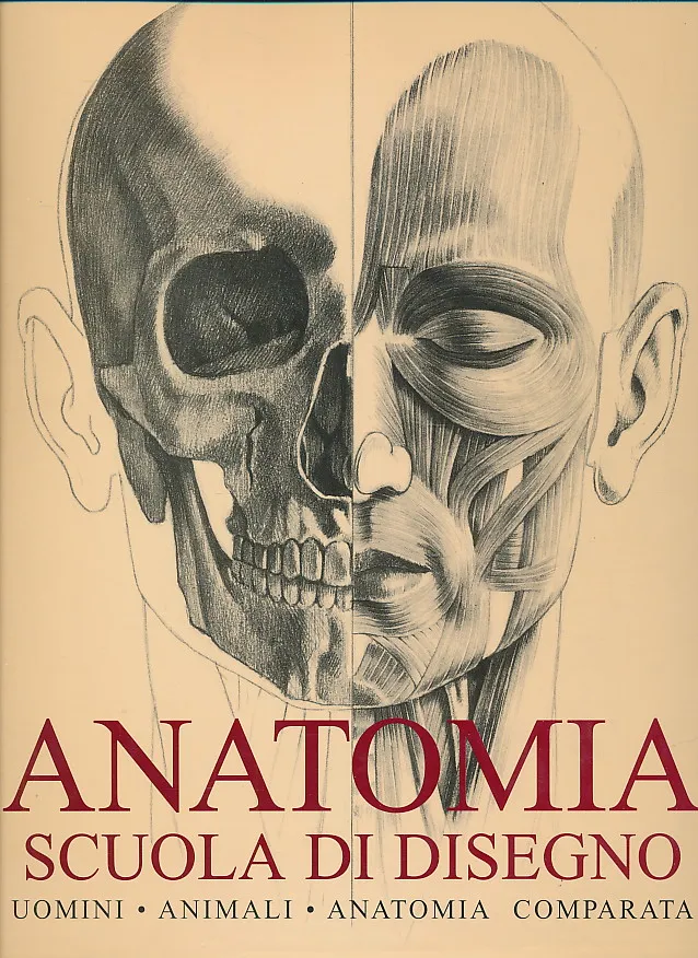 Anatomia : scuola di disegno
