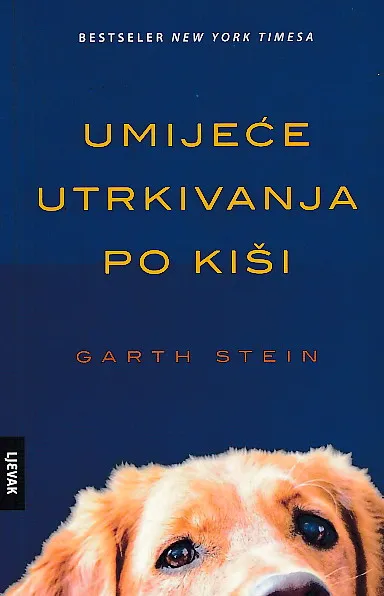 Umijeće utrkivanja po kiši