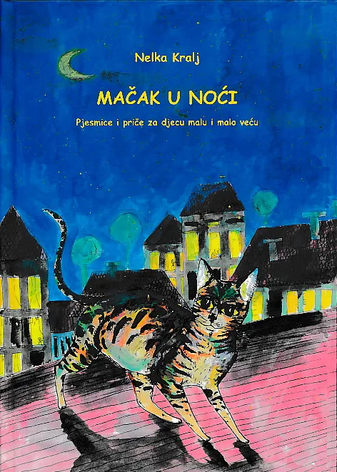 Mačak u noći