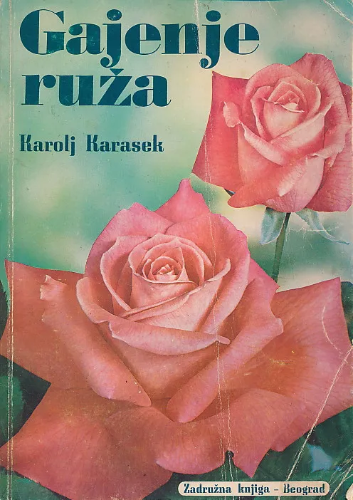 Gajenje ruža