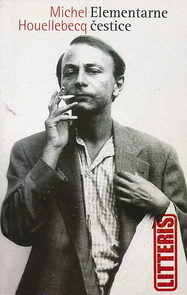 Elementarne čestice