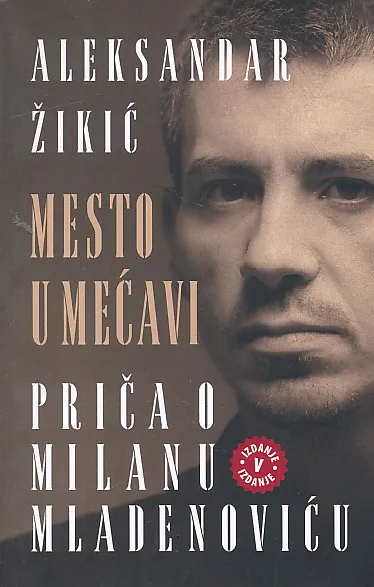 Mesto u mećavi (Milan Mladenović)