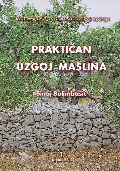 Praktičan uzgoj maslina