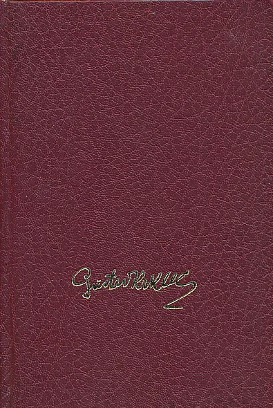 Pjesnik u vihorima
