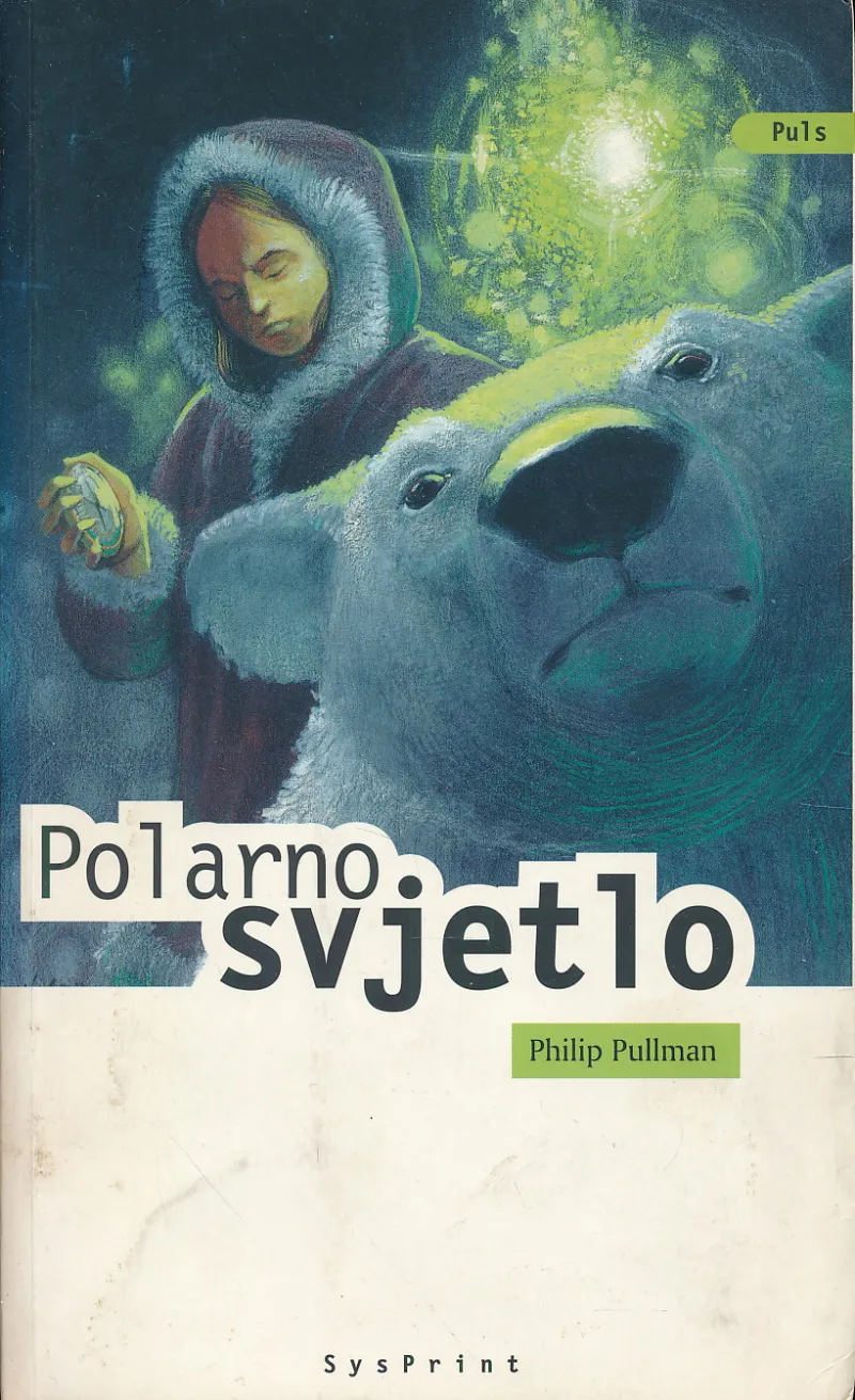Polarno svjetlo