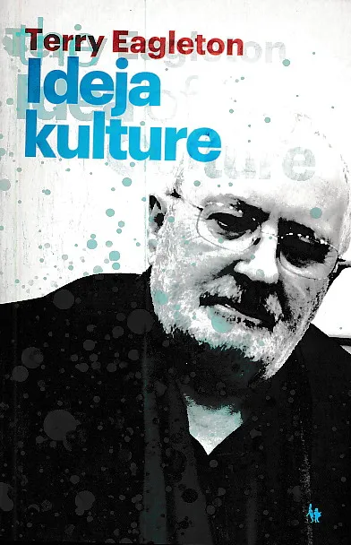 Ideja kulture