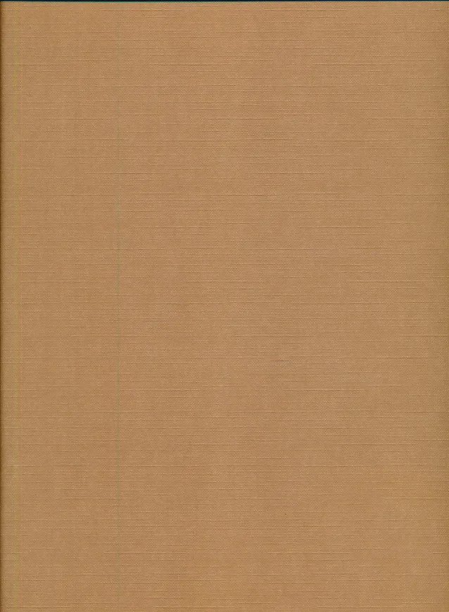 Rembrandt and His Art