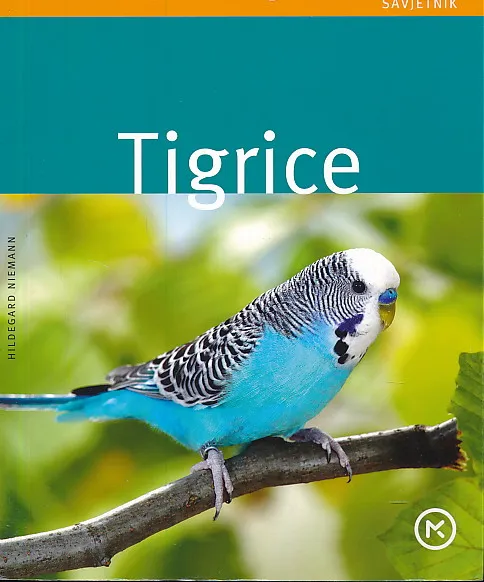 Tigrice