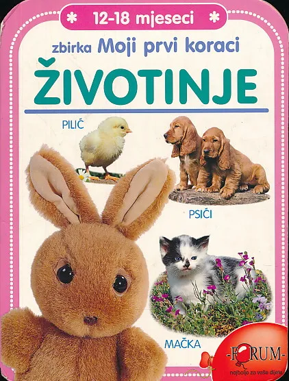 Polizeifahrzeuge aus aller Welt