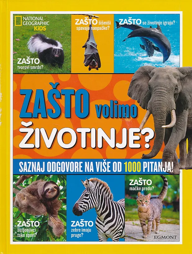 Zašto volimo životinje?