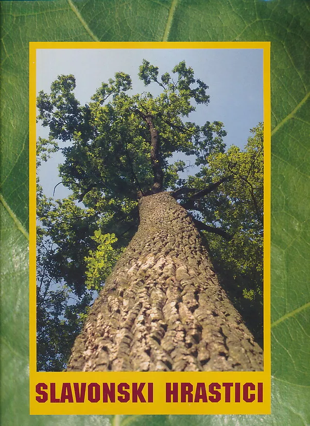 Slavonski hrastici