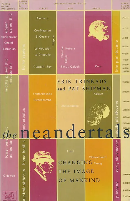 The Neandertals