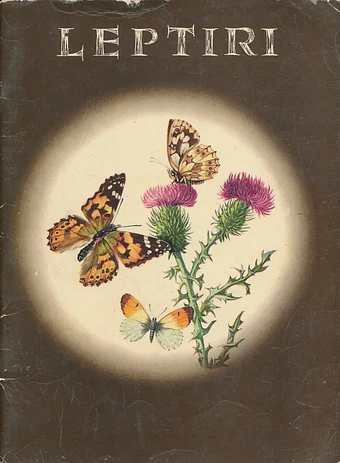 Leptiri - Lepirka (život leptira)