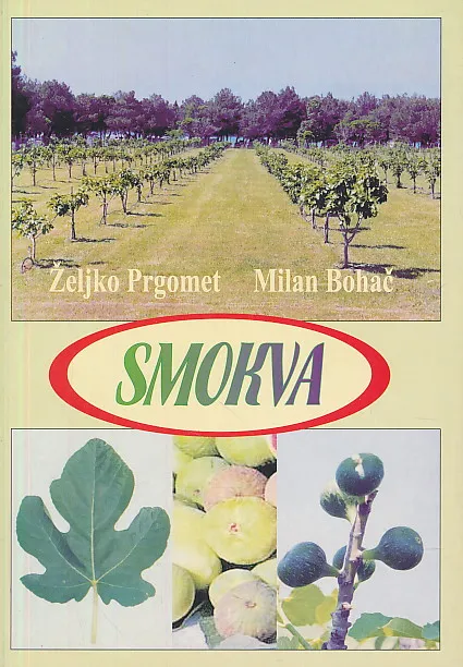 Smokva
