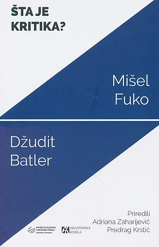 Šta je kritika?