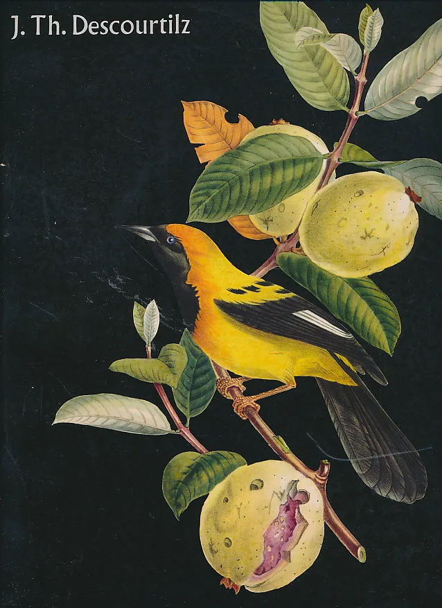 Pageantry of Brazilian Birds