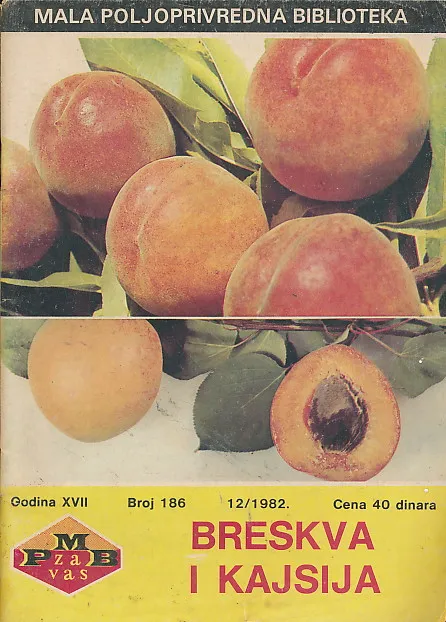 Breskva i kajsija