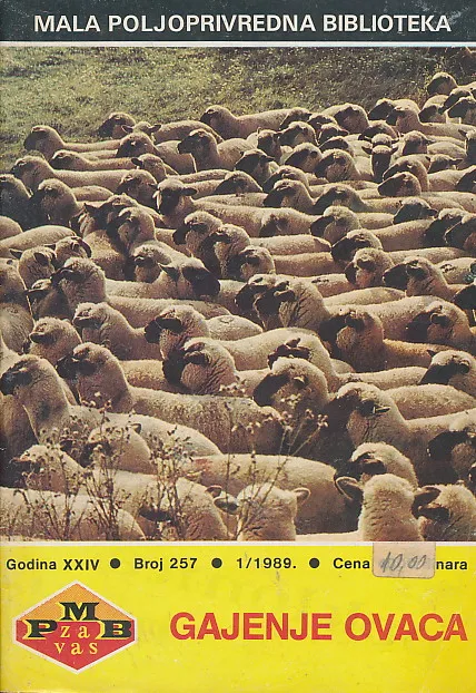 Gajenje ovaca