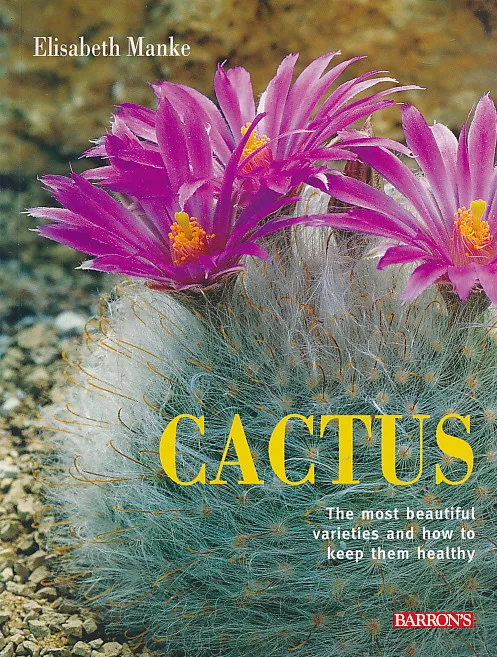 Cactus