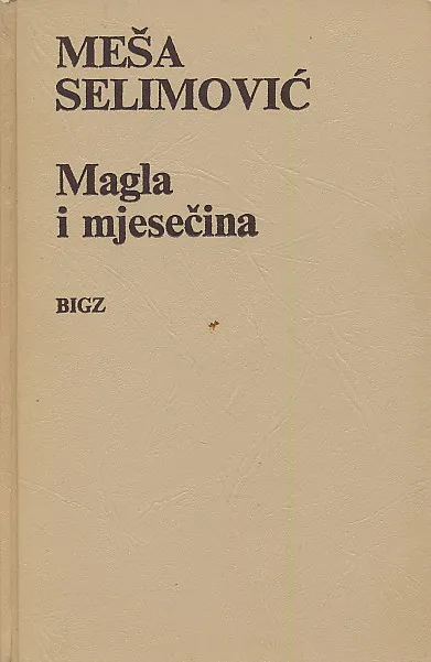 Magla i mjesečina