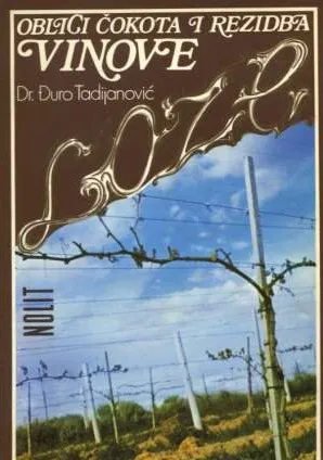 Oblici čokota i rezidba vinove loze