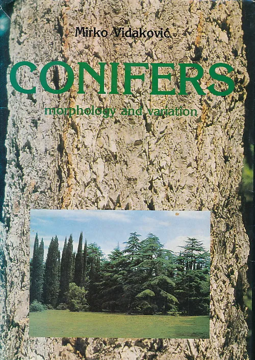 Conifers - morphology and variation
