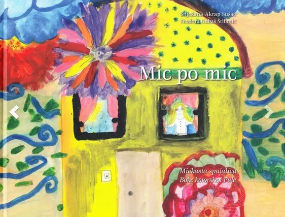 Mic po mic