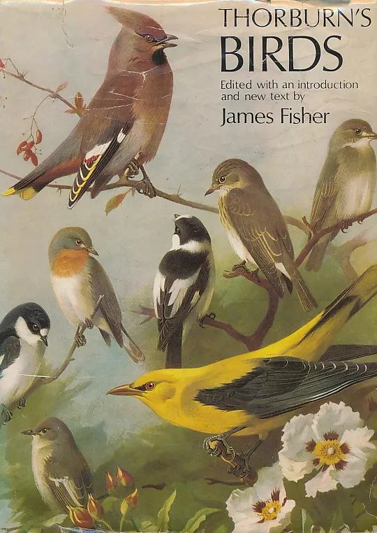 Thorburn's Birds