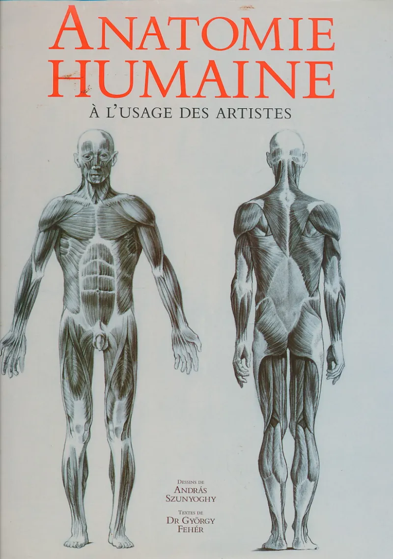 Anatomie humaine a l' usage des artistes