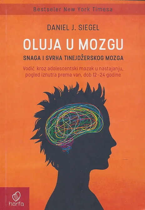 Oluja u mozgu