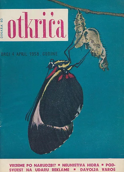 Otkića 4/1958