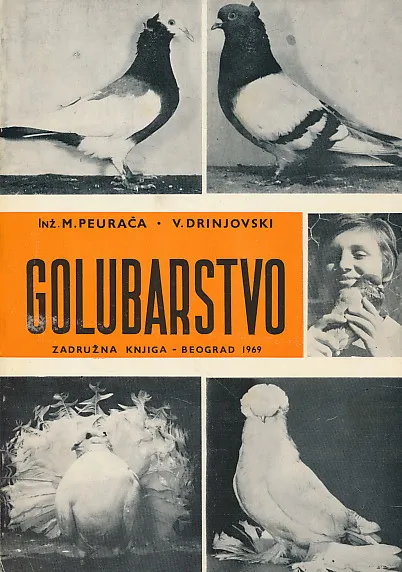 Golubarstvo