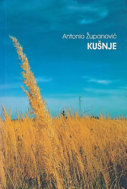 Kušnja