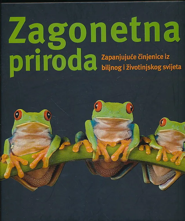 Zagonetna priroda