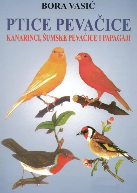 Ptice pevačice: kanarinci, šumske i papagaji
