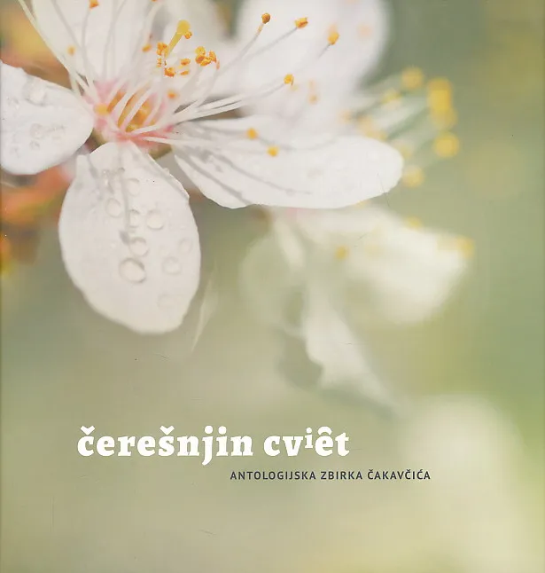 Črešnjin cviet