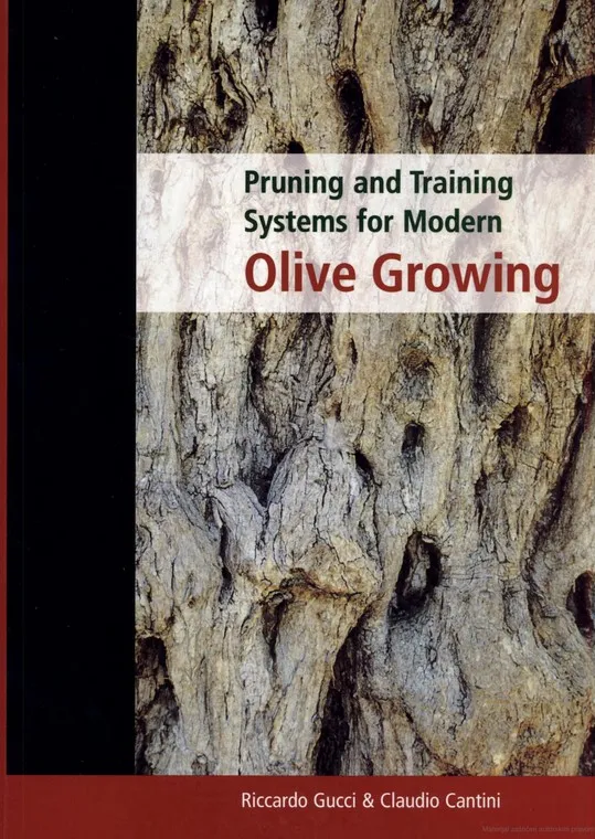 Pruning and Training for Modern Olive Growing