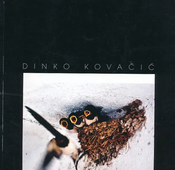 Dinko Kovačić