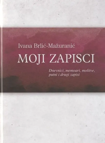 Moji zapisci