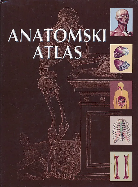 Anatomski atlas