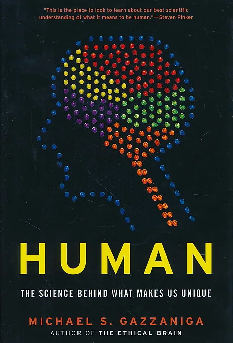 Human