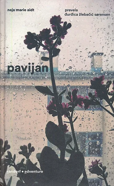 Pavijan