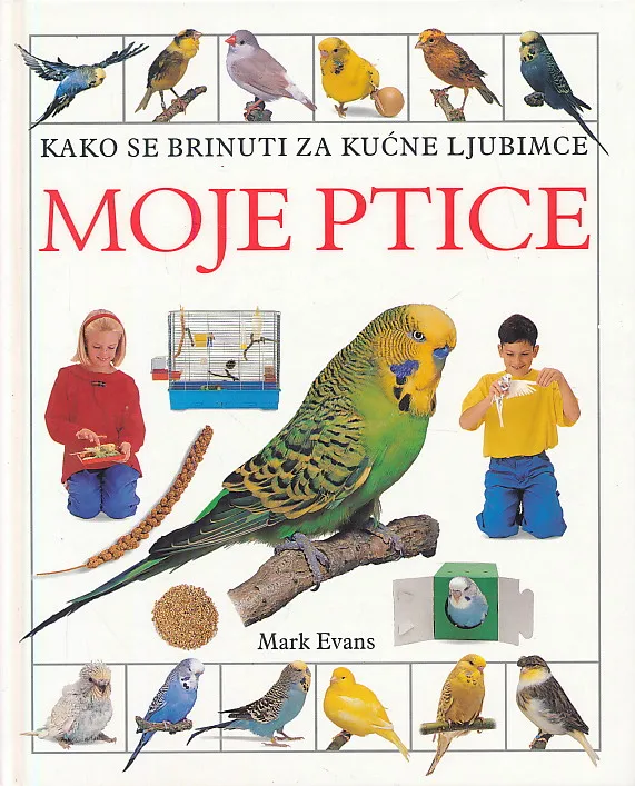 Moje ptice