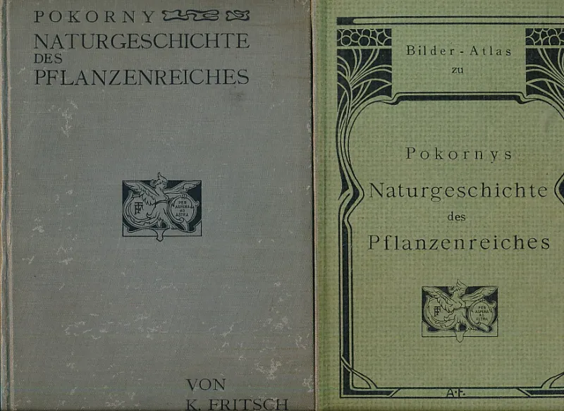 Pokornys Naturgeschichte des Pflanzenreiches für die unteren Klassen der Mittelschulen