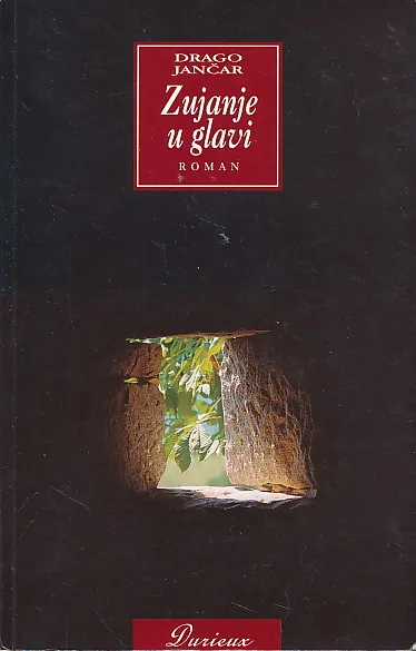 Zujanje u glavi