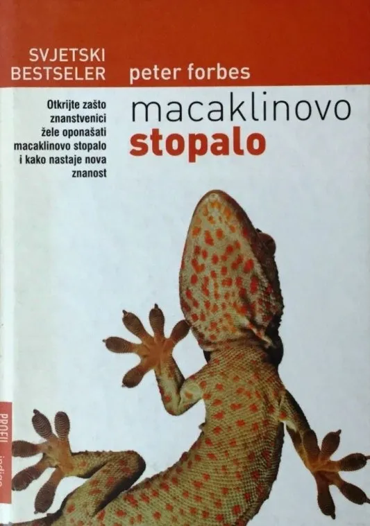 Macaklinovo stopalo