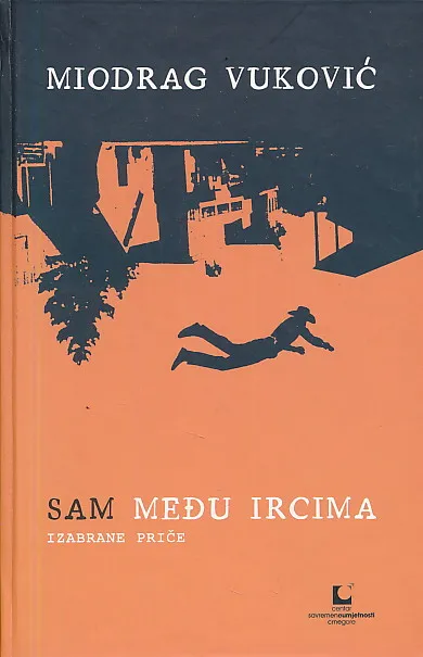 Sam među Ircima
