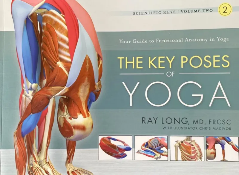 The Key Poses of Yoga