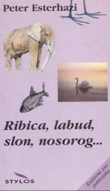 Ribica, labud, slon, nosorog...