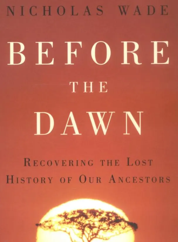 Before the Dawn